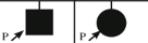 <p>What do these symbols indicate?</p>
