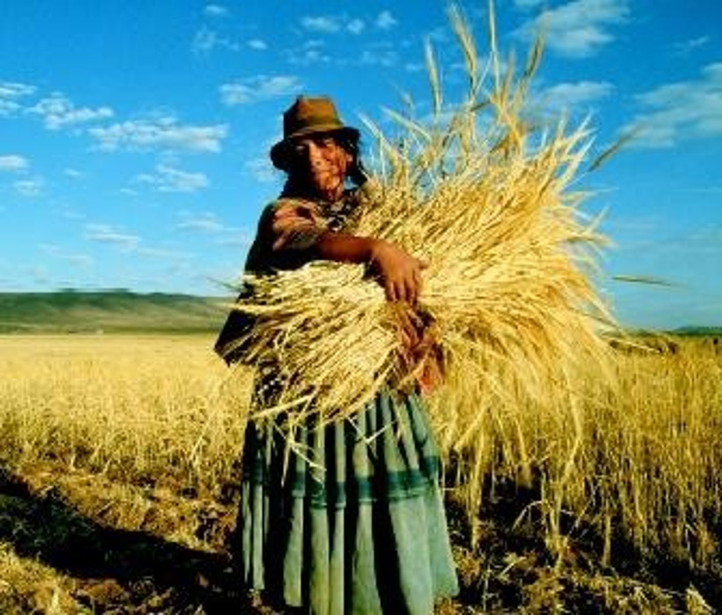 <p>-Travel through Dar al-Islam helped spread new ideas for farming</p><p>-the use of irrigation, fertilization, and crop rotation spread, and people even started to make books on how to be productive farmers</p><p>-all of this led to massive increases in food production, which in turn led to urbanization, the growth of cities like Baghdad (in modern day Iraq) and Cairo (in Egypt)</p><p>-As Muslim travelers travelled through Dar al-Islam, there was a lot of DIFFUSION (passing goods and ideas along)</p><p>-These were the three most important crops that spread through Dar al-Islam during Era 1, 1200 - 1450 CE. </p><p>-These crops led to higher population and nutrition, as well as providing valuable trade goods to go into the four major trade zones: the Trans-Saharan Caravan routes, trade in the Mediterranean Sea, Indian Ocean Basin , and Silk Roads</p><p>-One of these crops led to a huge increase in textiles, which became a really important industry in Dar al-Islam</p><p>-These goods originated in Asia; they spread West from India into the Islamic Caliphates</p>