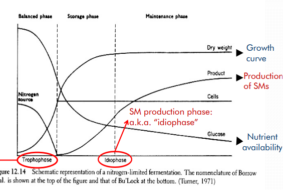 SMs production depends on _