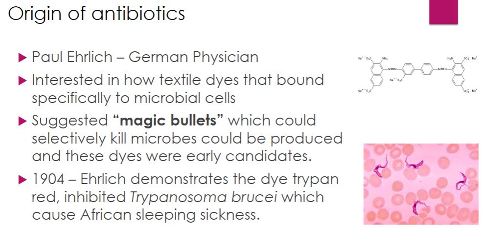 <p>Origin of antibiotics</p>