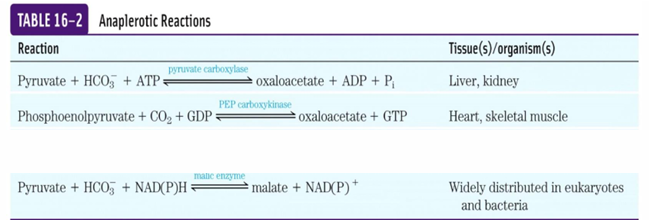 <p>3-C precursors </p>