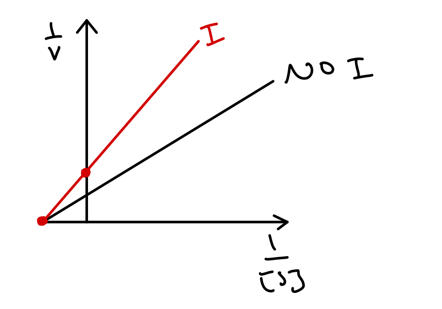<p>what type of inhibitor does this reciprocal plot represent?</p>