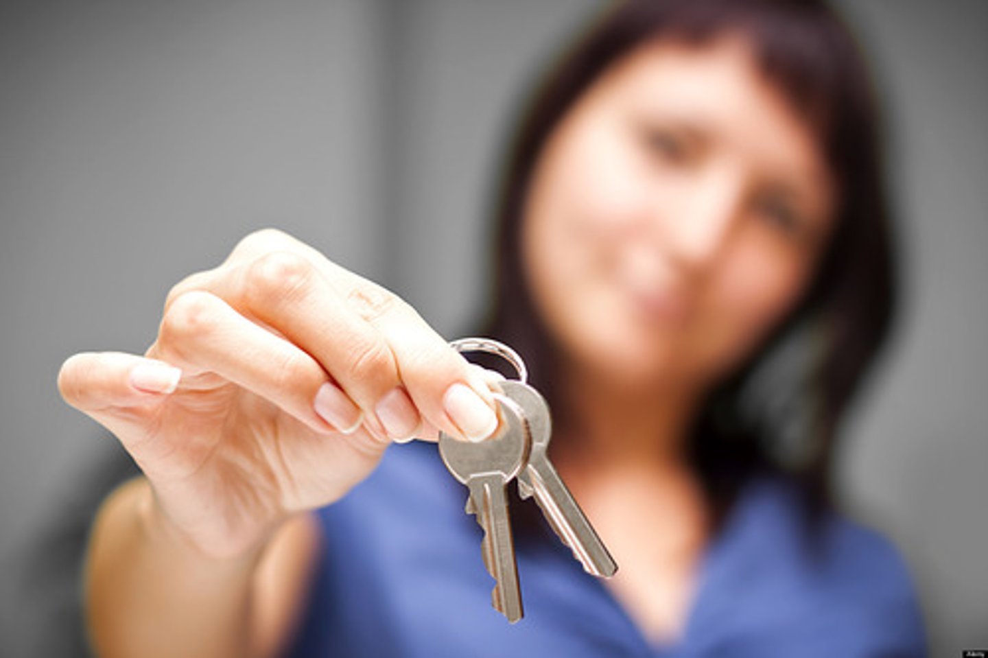 <p>an owner/a landlord</p>