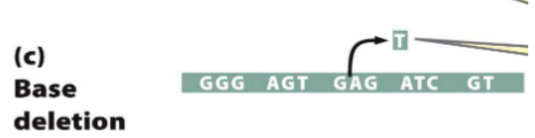 <ul><li><p><span style="font-family: &quot;Helvetica Neue&quot;, sans-serif">Base is deleted and entire frame shifts, altering every codon after deletion</span></p></li></ul><p></p>