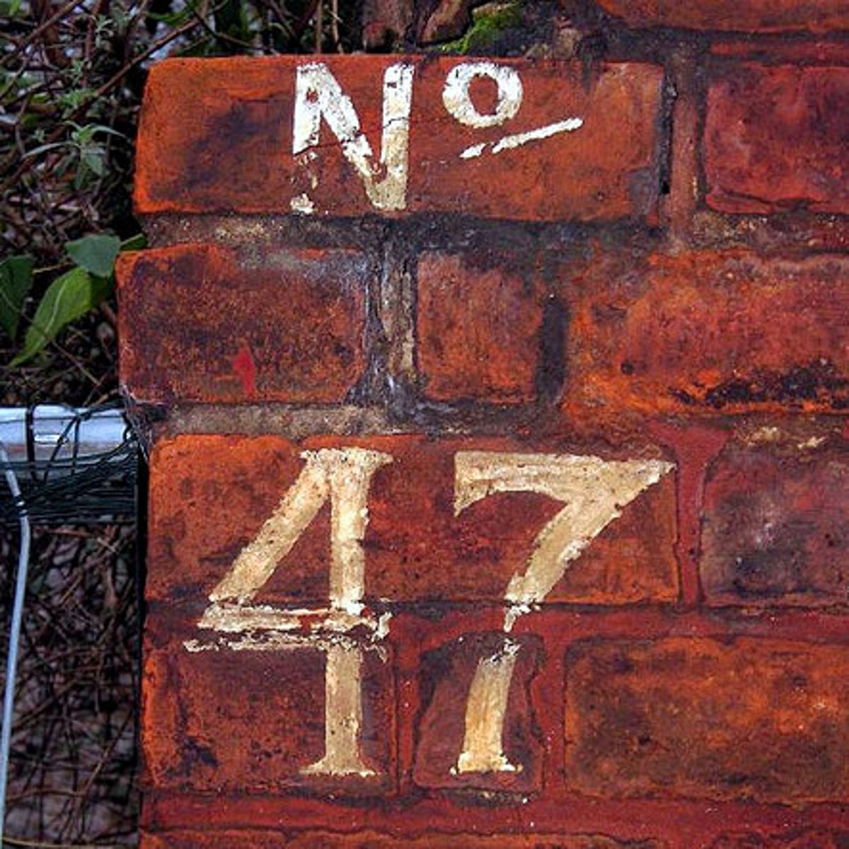 <p>47</p>
