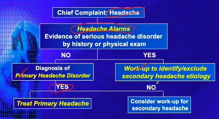 <p>Headache alarms</p>