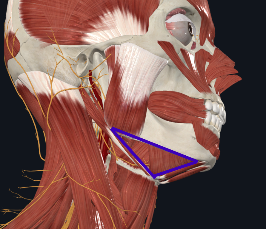 <p>What does this triangle refer to</p>