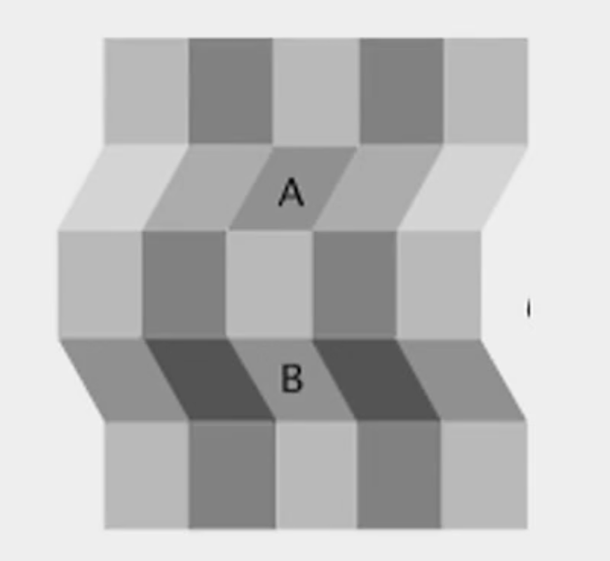 <p>In the image, when the middle section is poking out, it looks as though A and B are a <strong>different shade</strong> of grey. This is because we are using the ‘light from above’ heuristic which is making us think we are seeing depth and a shadow. Hence, we used our knowledge of depth and shadows in the real world to understand what’s happening in the image (top-down processing). </p><p></p><p>Contrastingly, when you push the middle section into the page, it looks like A and B are the <strong>same shade </strong>of grey. Therefore, even when the stimuli didn’t change, our perception of the image was still able to change simply by altering our ‘light from above’ heuristic. Hence, we used our understanding of shadows and depth again in order to make sense of the image, and this time, it changed our perspective (which are examples of <strong><u>both</u></strong> top-down processing and <strong>experience error</strong>). </p>