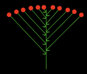 <p>What type of composite type is this?</p>