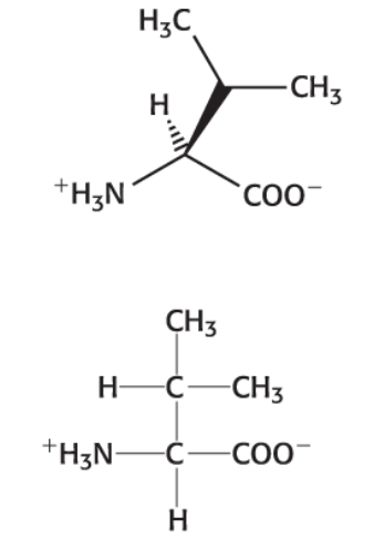 <p>Category: Hydrophobic </p>