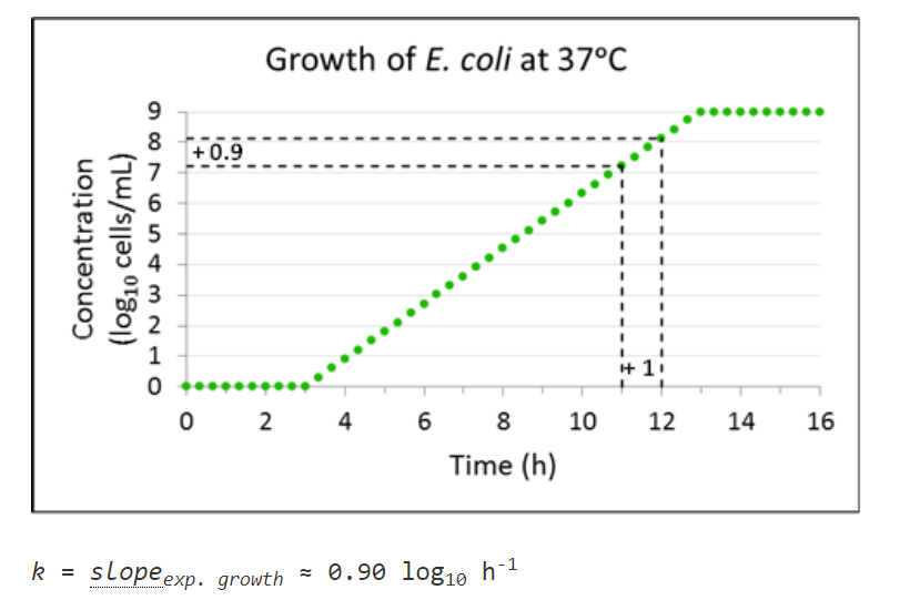 <p>The slope <span>of the exponential growth phase is the maximum growth rate </span><em>k</em><span>&nbsp;(</span>log<sub>10</sub> h<sup>-1</sup><span>) </span></p>