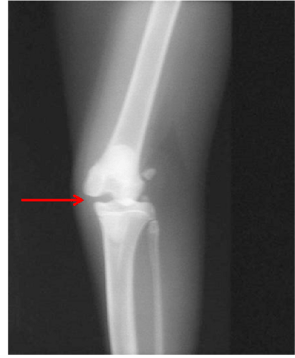 <p>what is shown in this image</p>