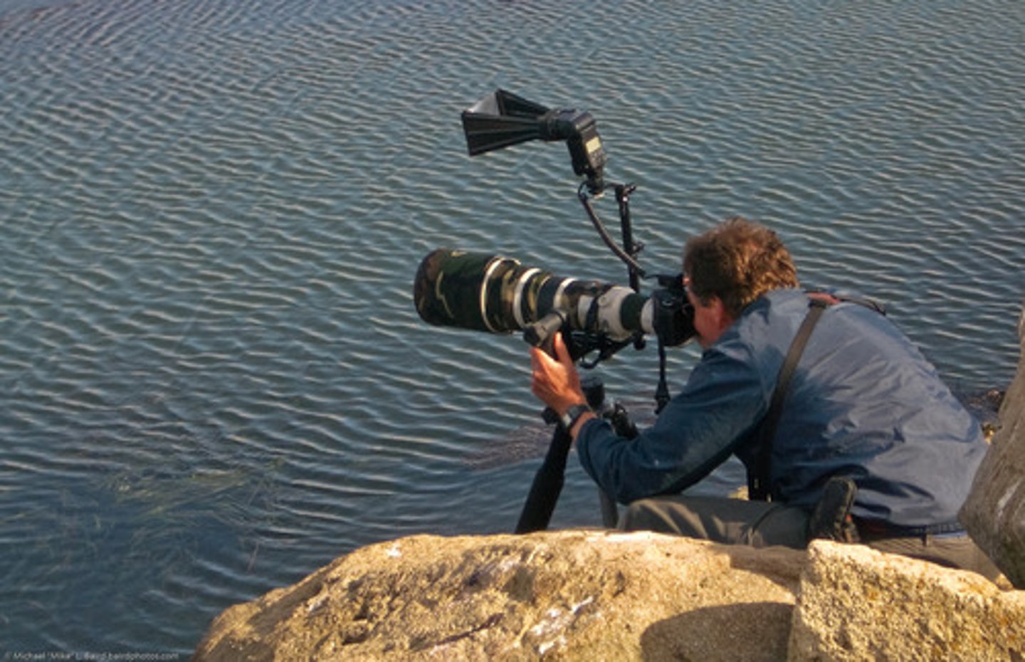 <p>Photographer</p>