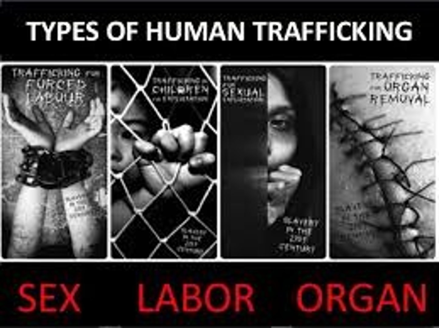 <p>human trafficker</p>