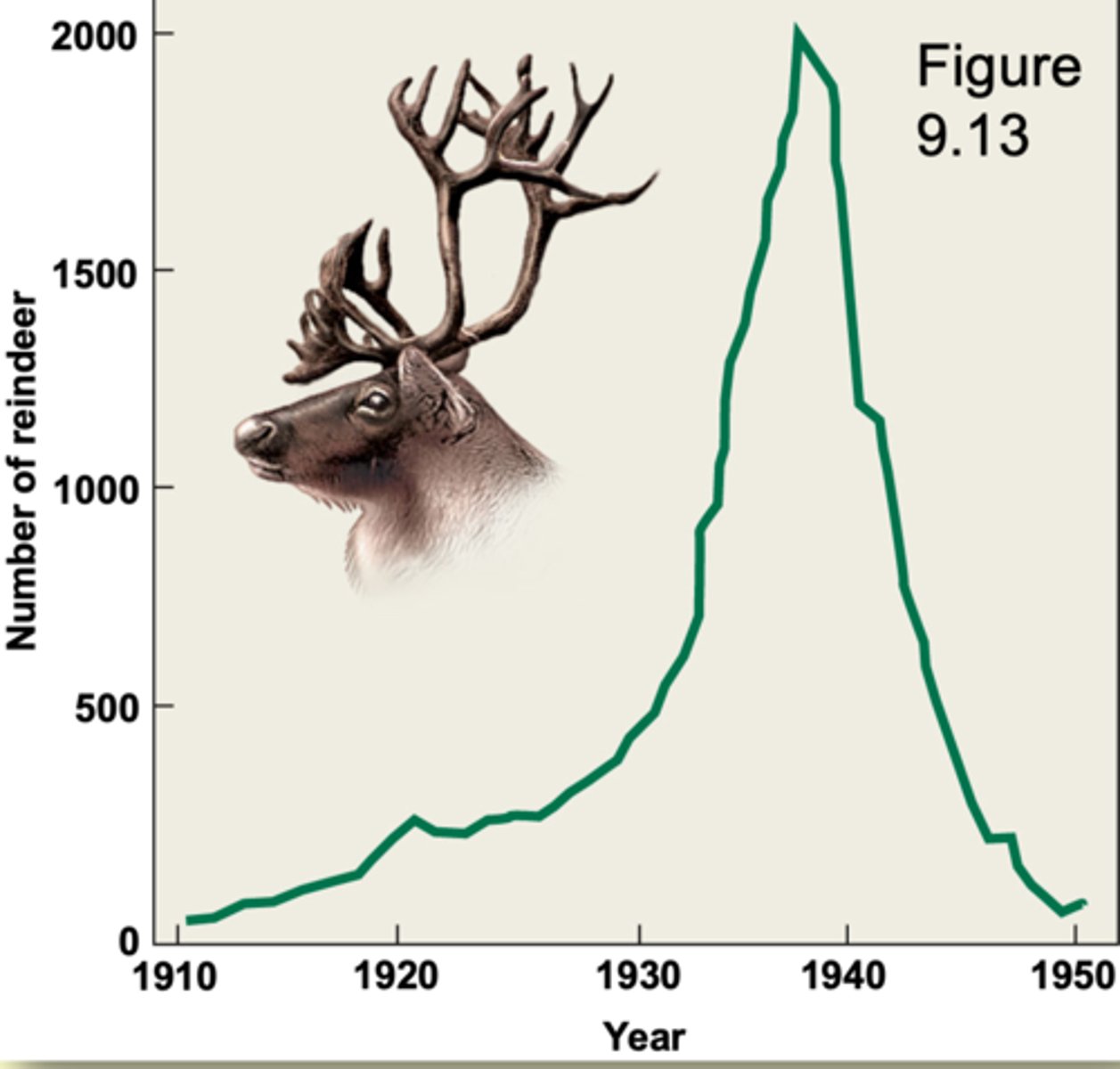 <p>EX: Reindeer on St. Paul island</p><p>- overgrazed the island severely</p><p>- herd size dropped from 2000 in 1938 to 8 in 1950</p><p>- such a population may recover or it may go extinct</p>
