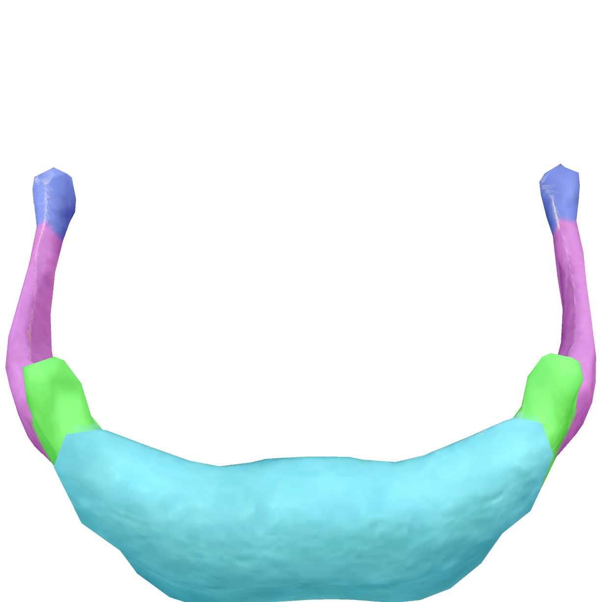 <p>center of the hyoid </p>