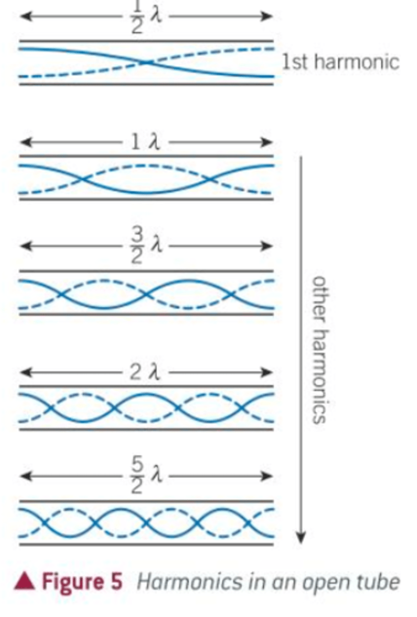 <p>Antinodes occur at open ends</p><p>Lowest frequency is produced when length is 1/2 λ</p>