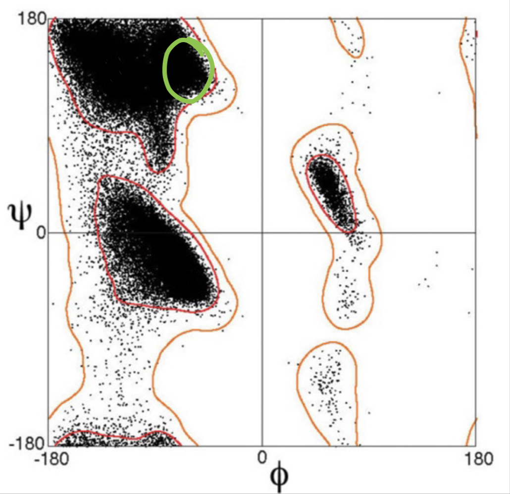 <p>what secondary structure is indicated by the green circle?</p>
