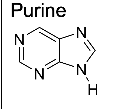 <p>pkb of purine</p>