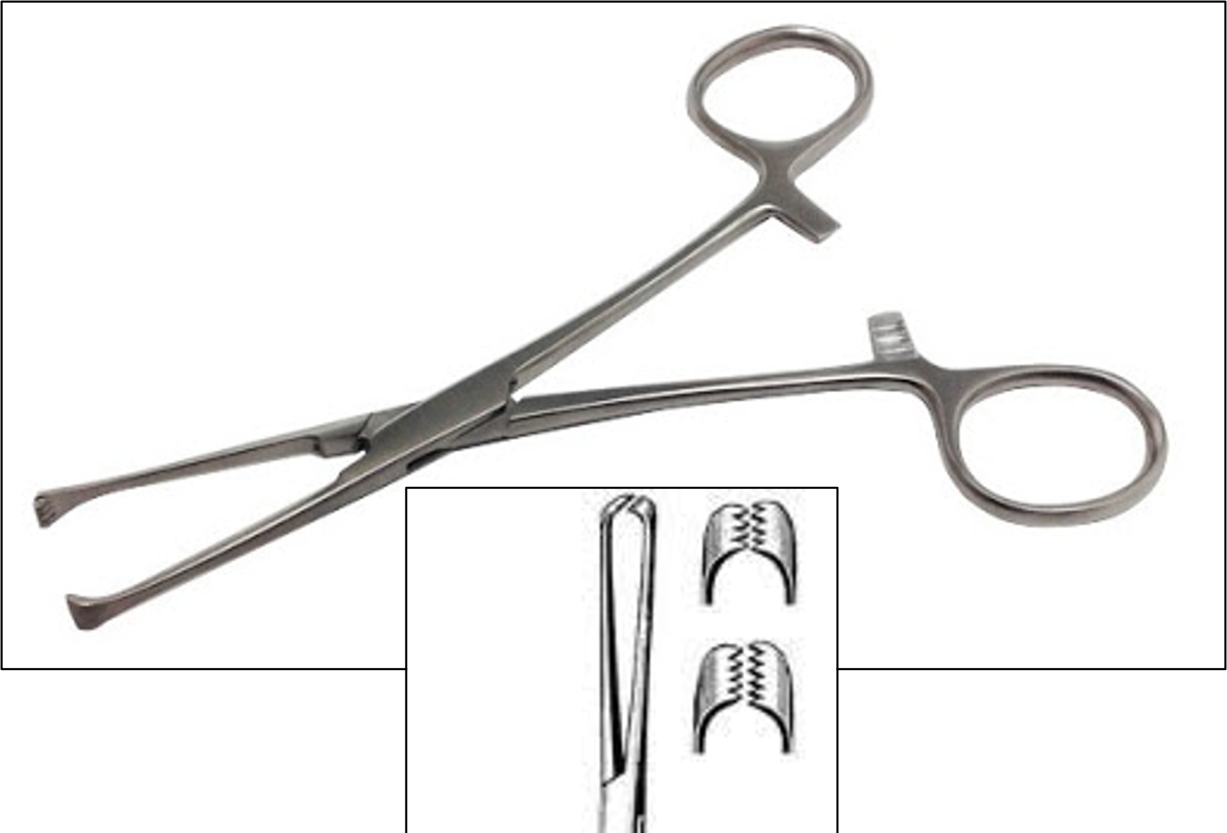 <p>name of instrument</p>