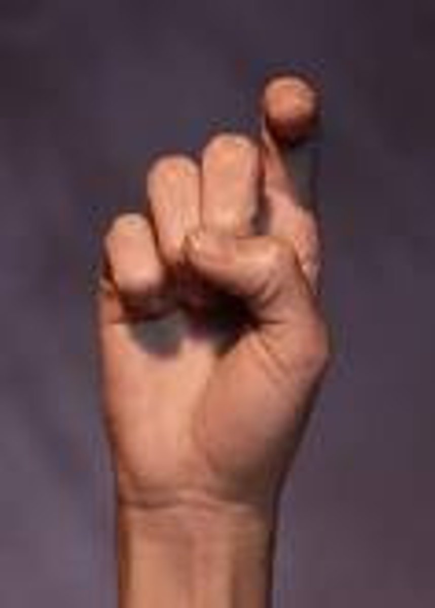 <p>Middle, ring and little fingers are folded down. Index finger is bent at both joints. Thumb is pulled in and slightly bent at the joint. The hand is turned to the left so view can see thumb and index finger.</p>