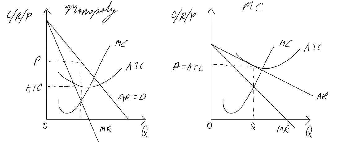 <p>Monopoly demand more inelastic (no close substitutes)</p>