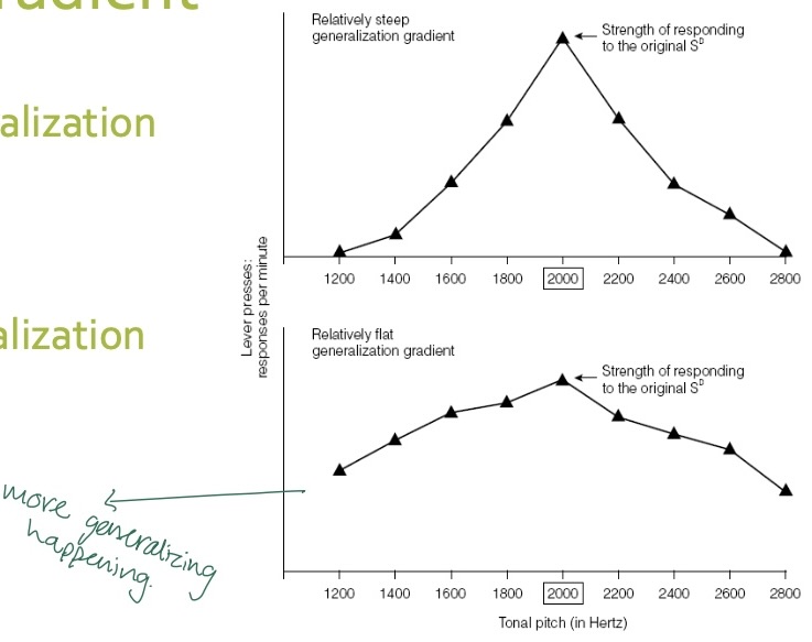 <p>-<strong>steep</strong> gradient = <strong>less</strong> generalization</p><p class="p1">-<strong>flat</strong> gradient = <strong>more</strong> generalization</p>