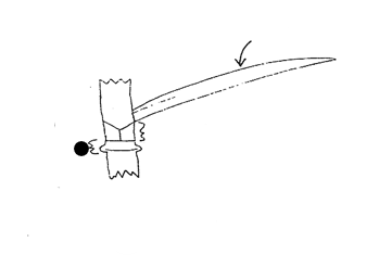 <p>Part of grass?</p>