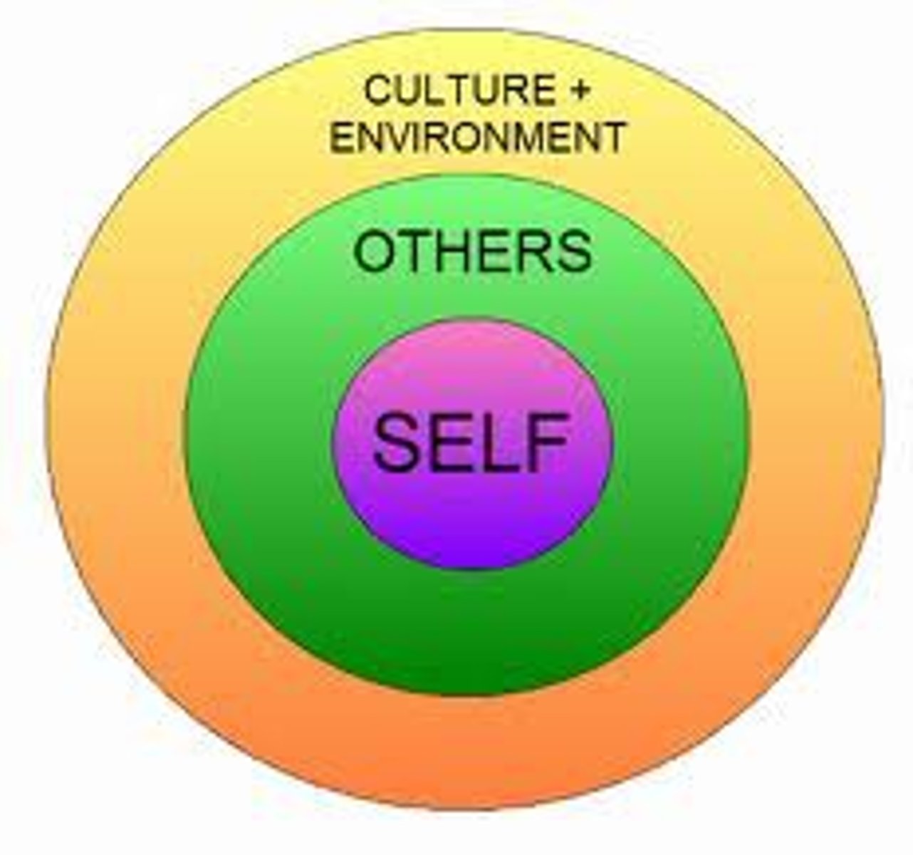 <p>the scientific study of how we think about, influence, and relate to one another.</p>