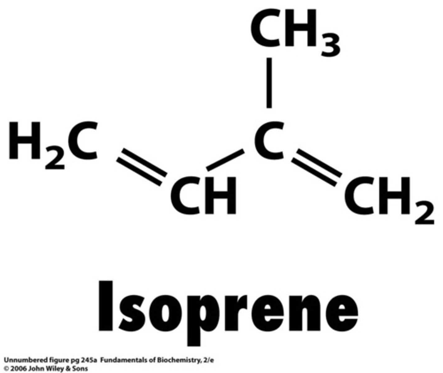 <p>molecules derived from a 5 carbon precursor</p>