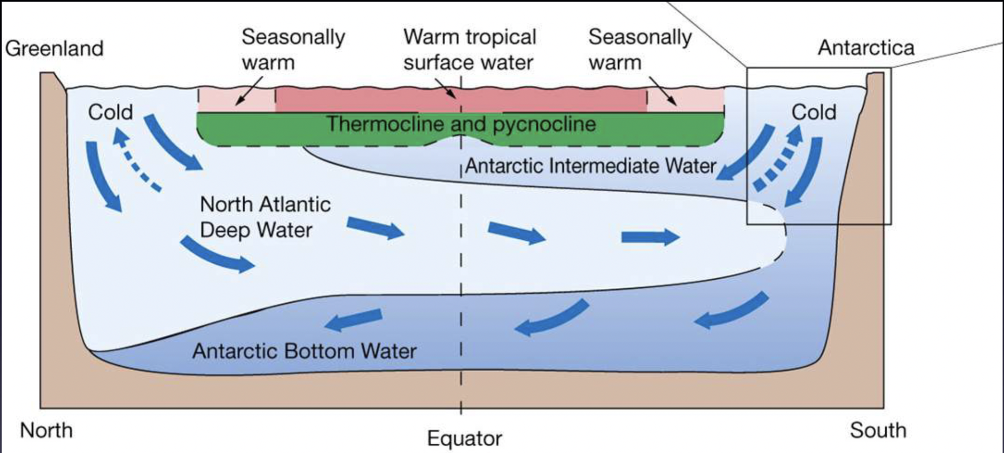 <p>(water masses are named according to where they originate from)</p><ol><li><p>North Atlantic Deep Water (NADW)</p></li><li><p>Antarctic Bottom Water (ABW)</p></li></ol>