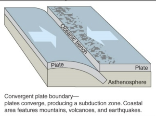 <p>Convergent plate boundaries</p>