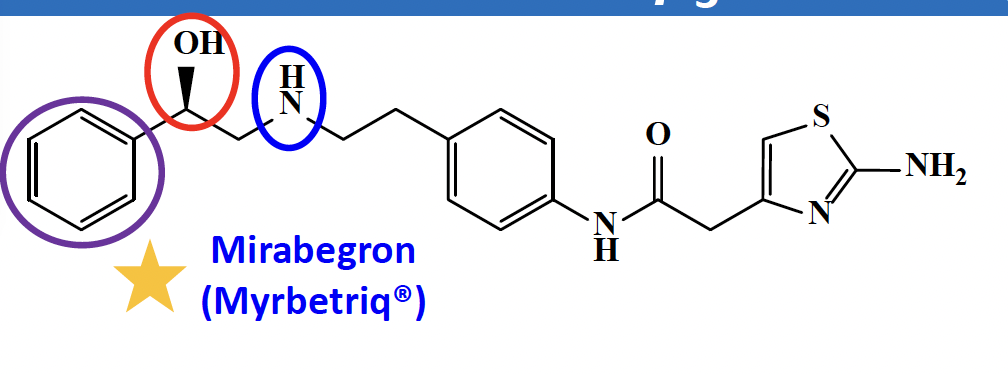 <p>Mirabegron:</p><ul><li><p>overactive bladder</p></li><li><p>on the kid’s list</p></li><li><p>bind in a perpendicular: salt bridge between the amine, aromatic ring—> pipi bond, beta hydroxyl group and amine form additional hydrogen</p></li></ul><p></p>