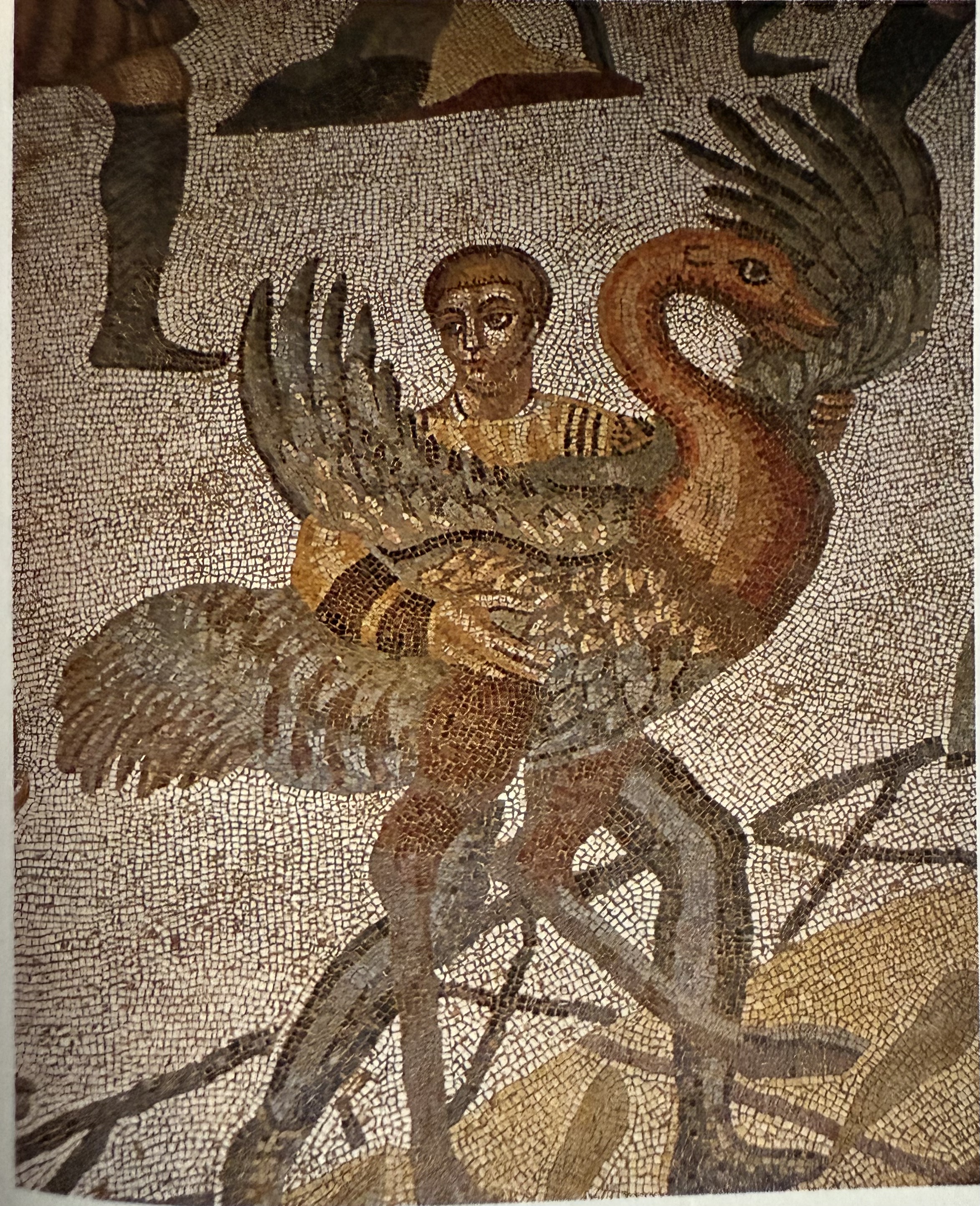 term image