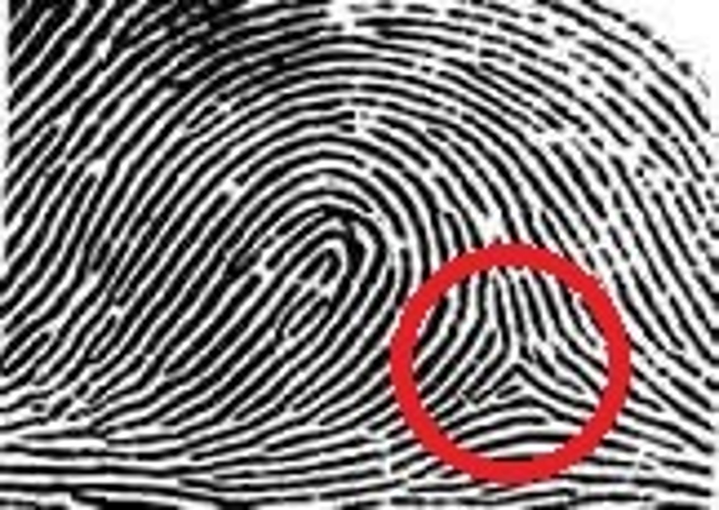 <p>A triangular area</p>