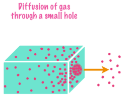 <p><u>Diffusion vs. Effusion</u></p><p>The movement of gas from one compartment to another through a small opening under pressure</p>