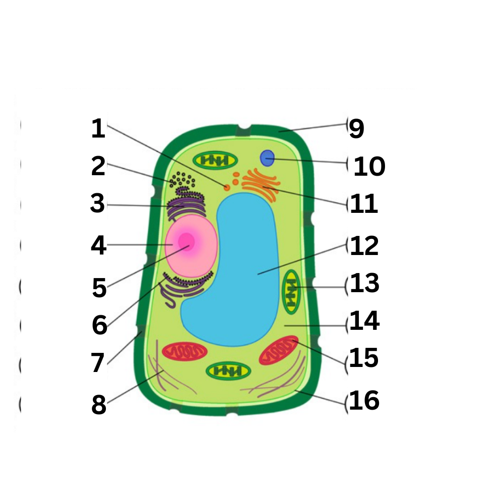 <p>What part is no. 10?</p>
