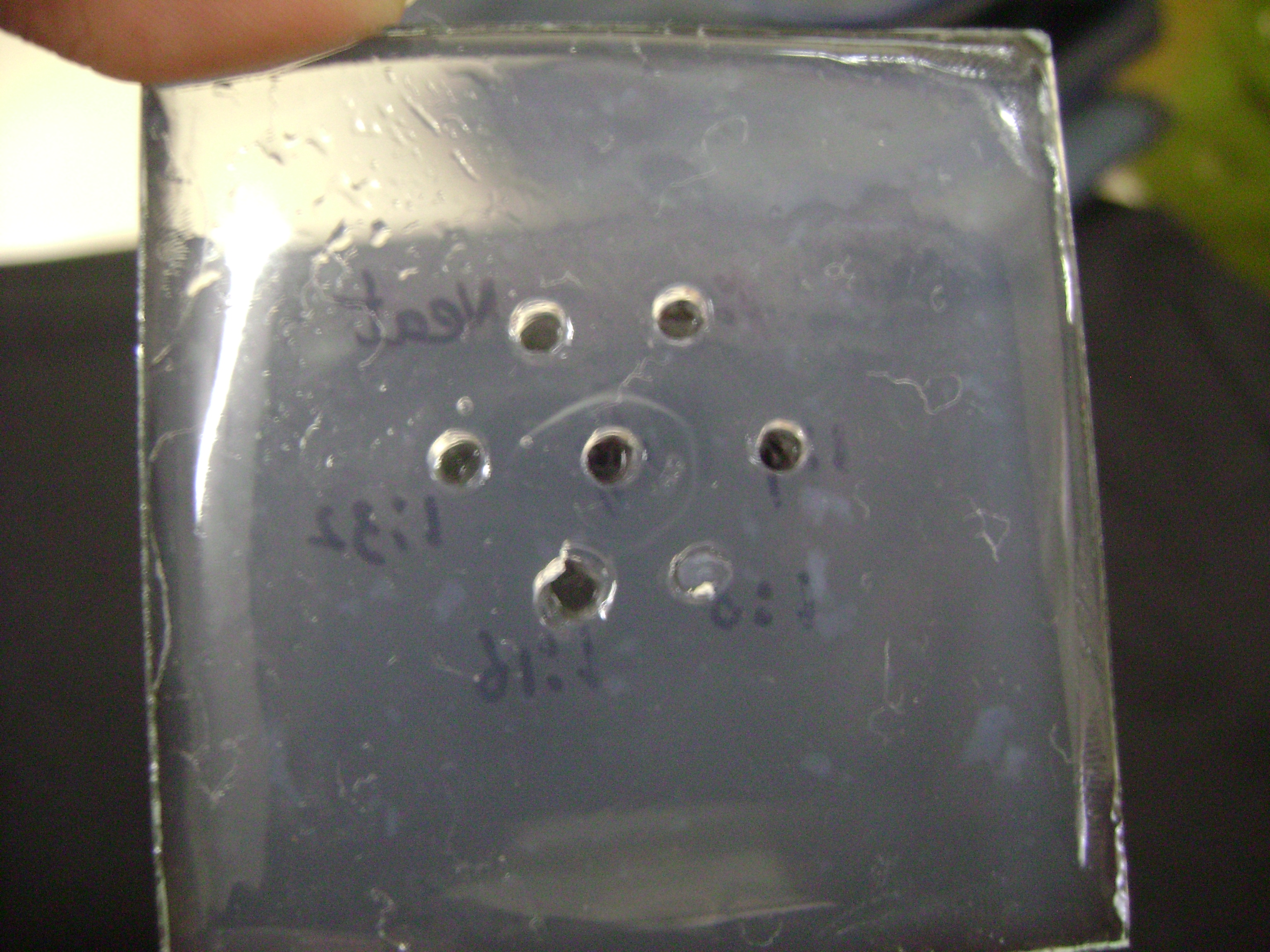 <p>IMMUNODIFFUSION</p>