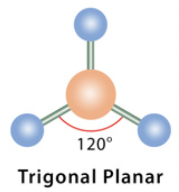 <p><span>electron domain: trigonal planar</span></p>