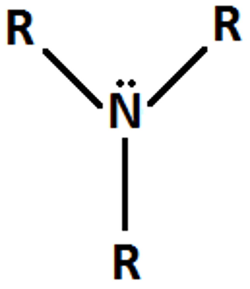 <p>Basic nitrogen atom with a lone pair</p>