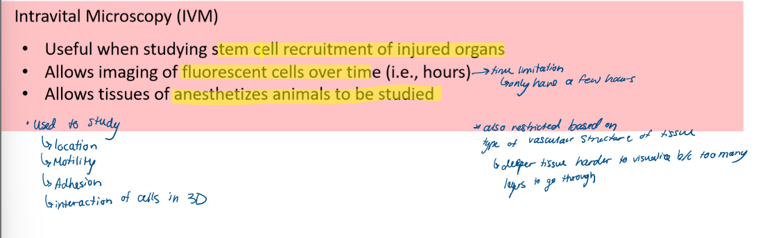 <ul><li><p>e.g. brain is easier to see bc on top layer, bone marrow is harder bc too deep</p></li></ul><p></p>