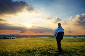 <p>countryside | field</p>