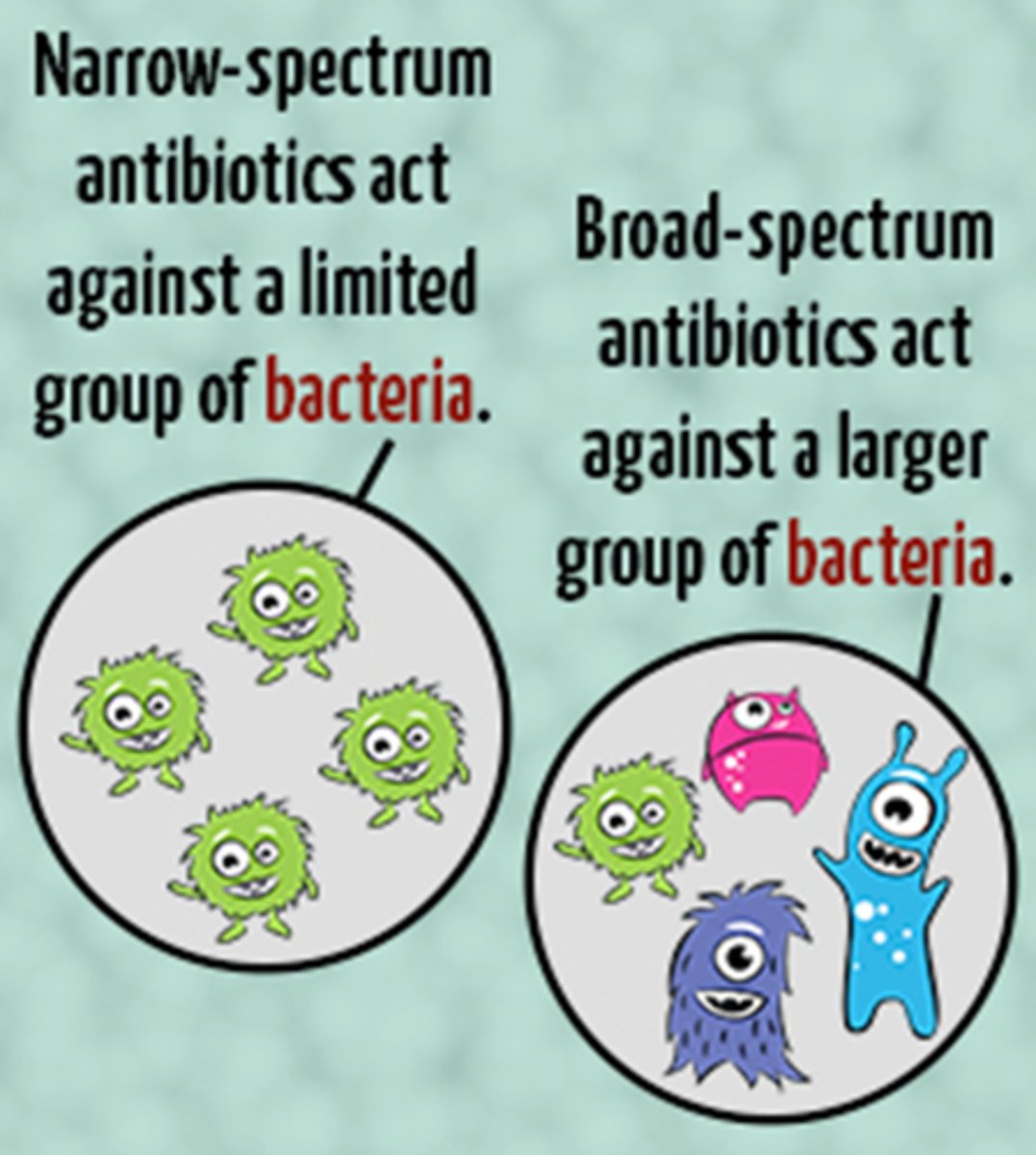 <p>number of different pathogens present</p>