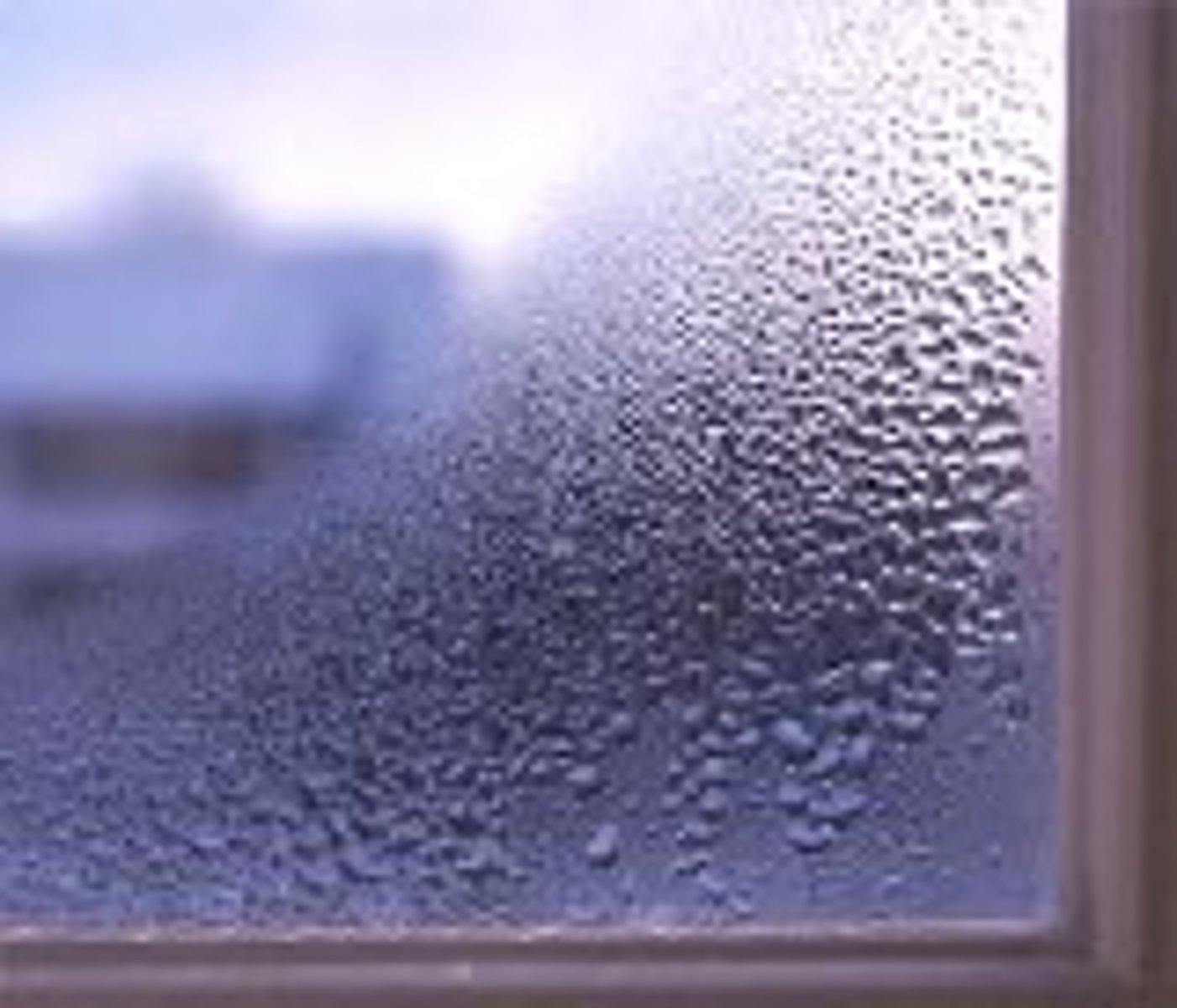 <p>It's (very) humid</p>