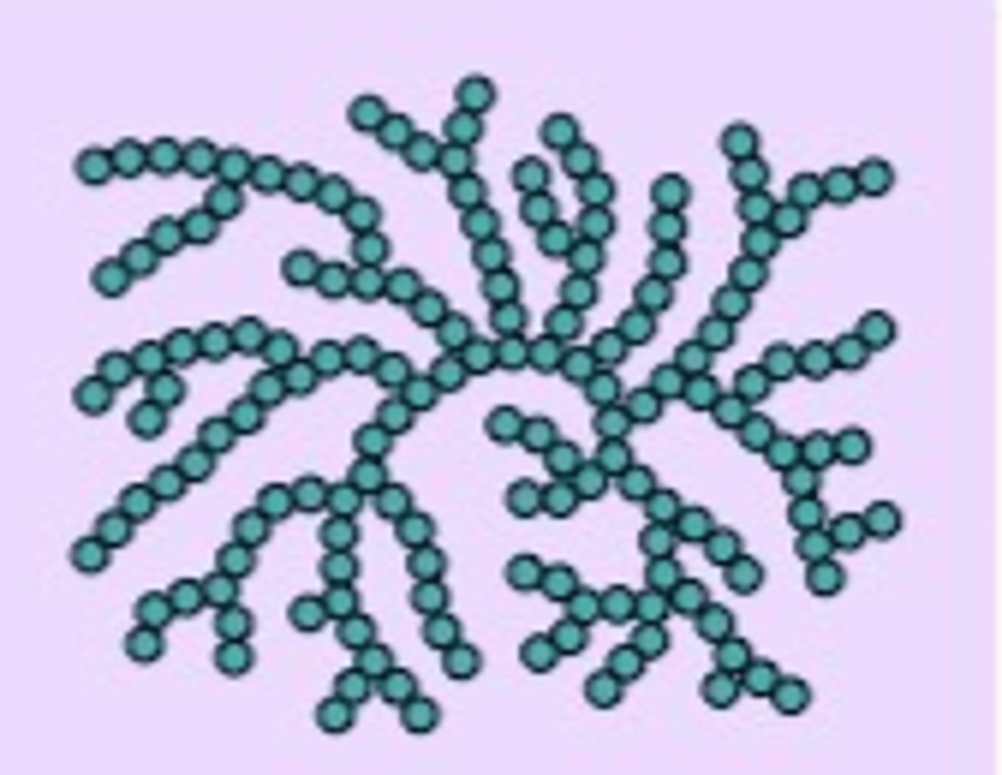 <p>● Polysaccharide made of α-glucose</p><p>● 1,4- and 1,6-glycosidic bonds →</p><p>● Highly branched (more than starch)</p>