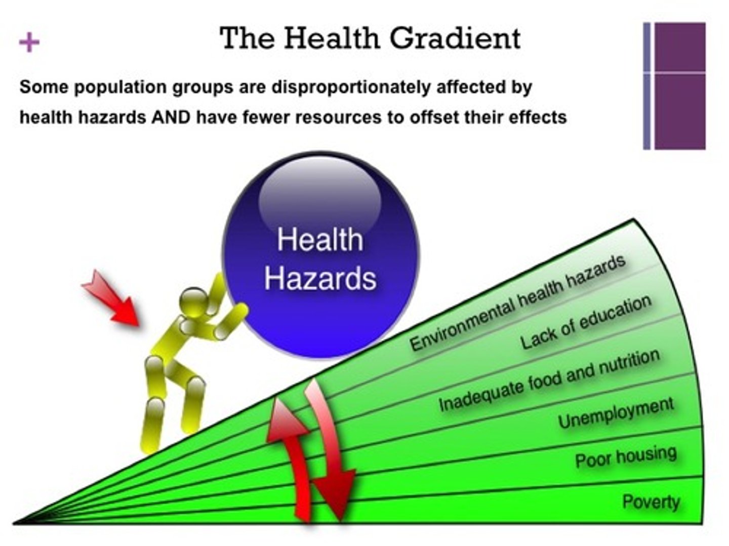 <p><em>n</em>(impact of class on health)</p><p>*desigualdades sociales en salud*</p><p>-There is a huge social gradient that is really problematic. We just…. I mean, that, we now about that problem.</p><p></p>