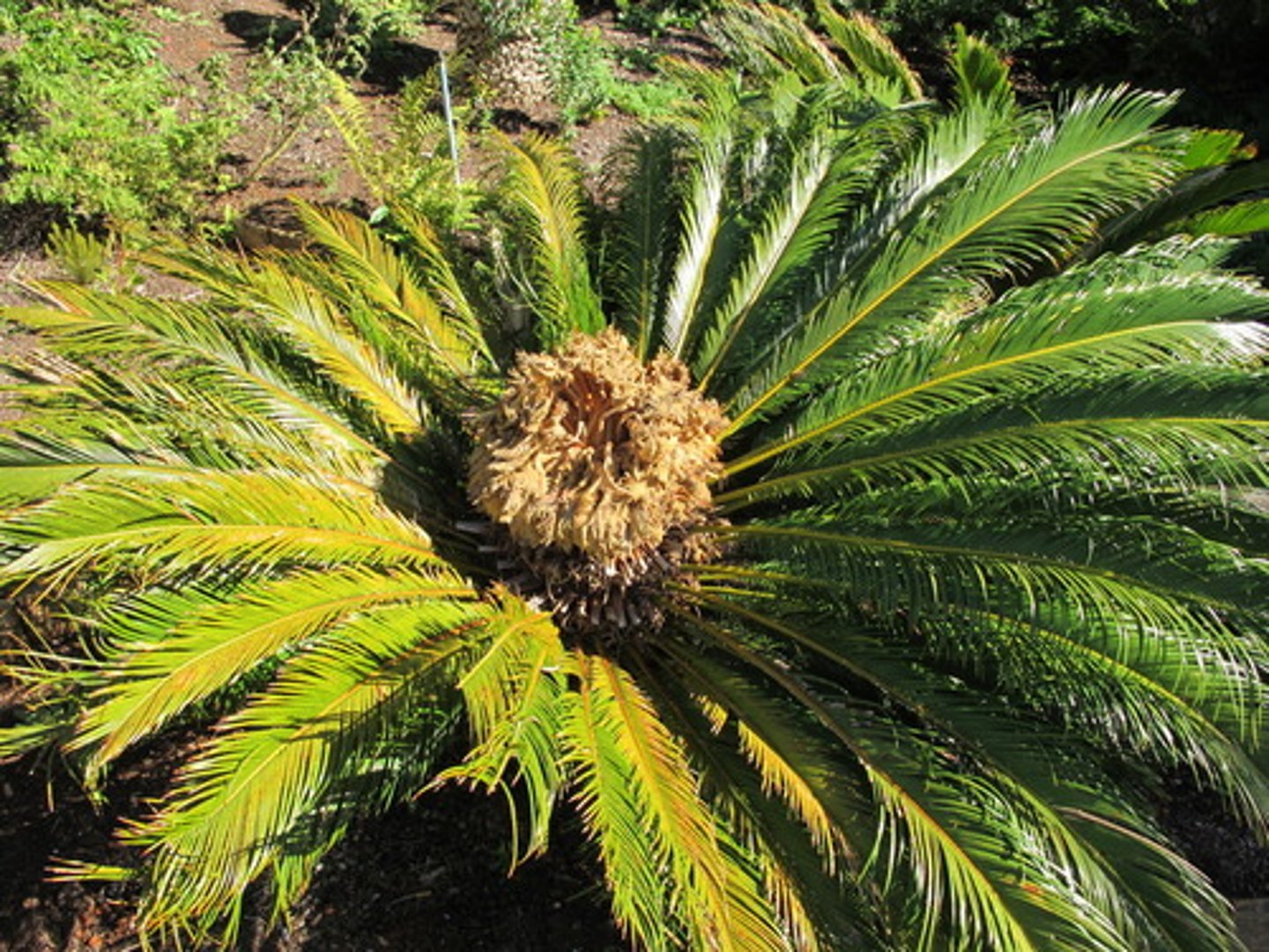 <p>Name?</p>