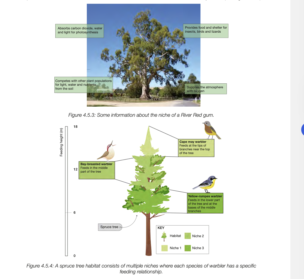 <ul><li><p>specific role/function organims plays within ecosystem - defined by living and nonliving factors</p></li><li><p>how a spceies fits into its habitat and ineracts with it&nbsp;</p></li><li><p>act as selection pressures, ensure most suitable individuals in species survive to reproduce&nbsp;</p></li></ul><p></p><p></p><p></p>