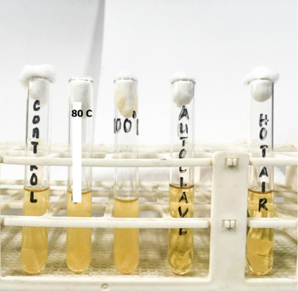 <p>What substance is responsible for the characteristic result of the test shown?</p>