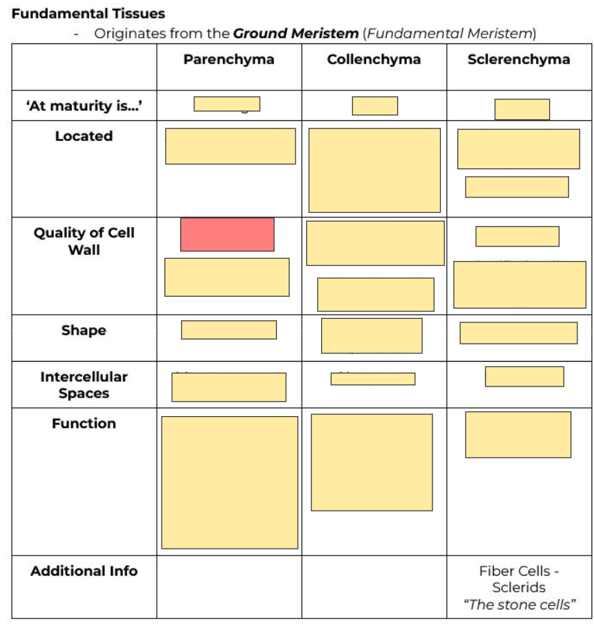 <p>Thickness of cell wall?</p>